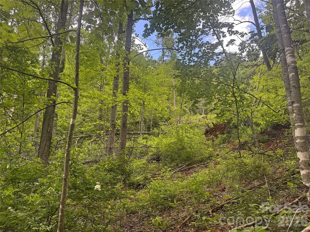 V/l Wolf Crossing Bakersville NC 28705