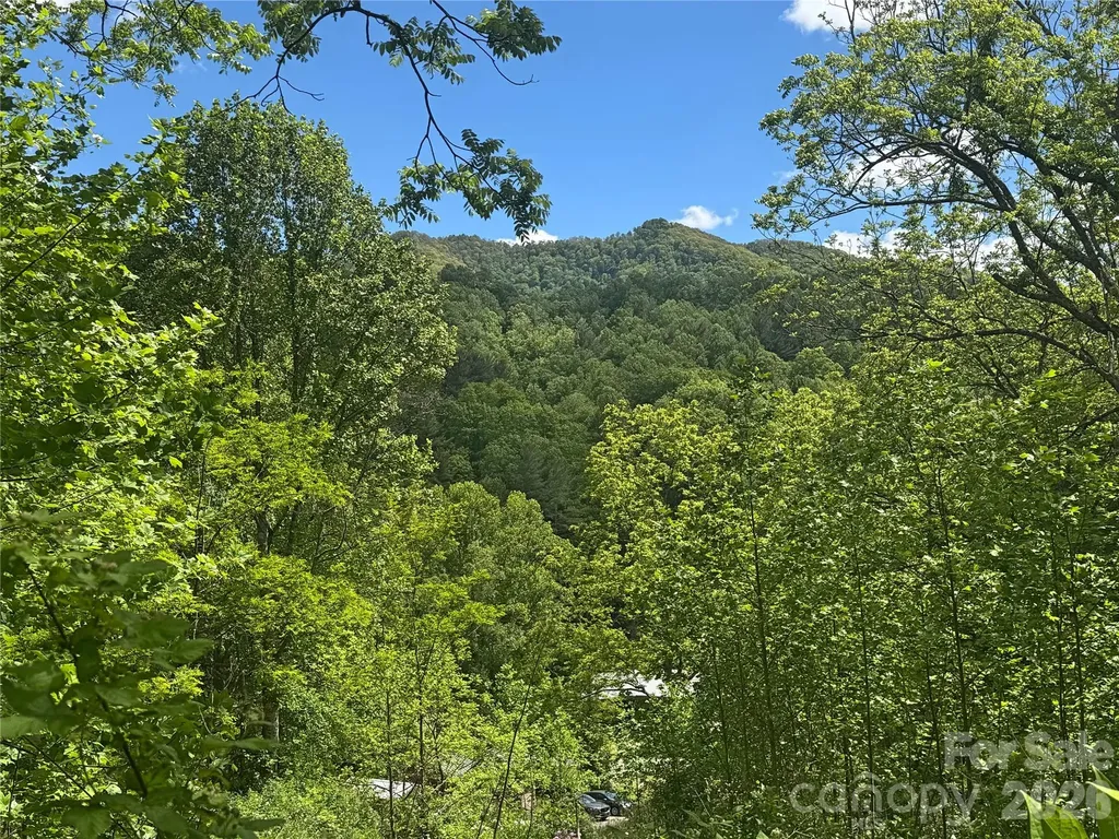 V/l Wolf Crossing Bakersville NC 28705