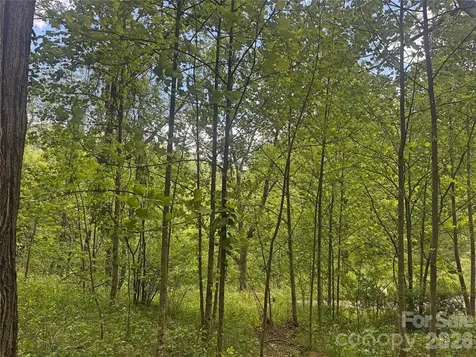 V/l Wolf Crossing Bakersville NC 28705