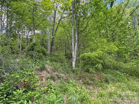 V/l Wolf Crossing Bakersville NC 28705