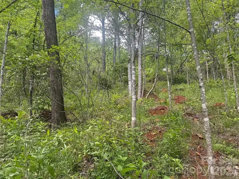 V/l Wolf Crossing Bakersville NC 28705