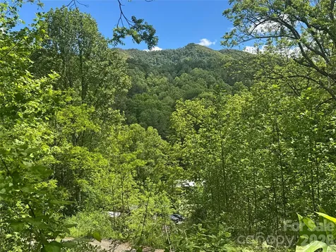 V/l Wolf Crossing Bakersville NC 28705