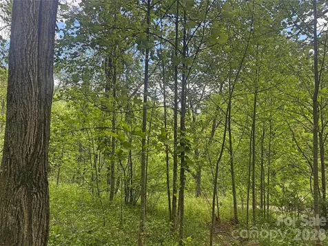 V/l Wolf Crossing Bakersville NC 28705