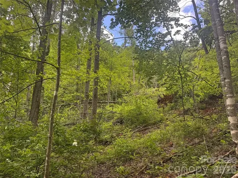 V/l Wolf Crossing Bakersville NC 28705
