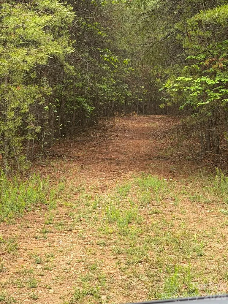 Tract 2 Hill Road Marion NC 28752