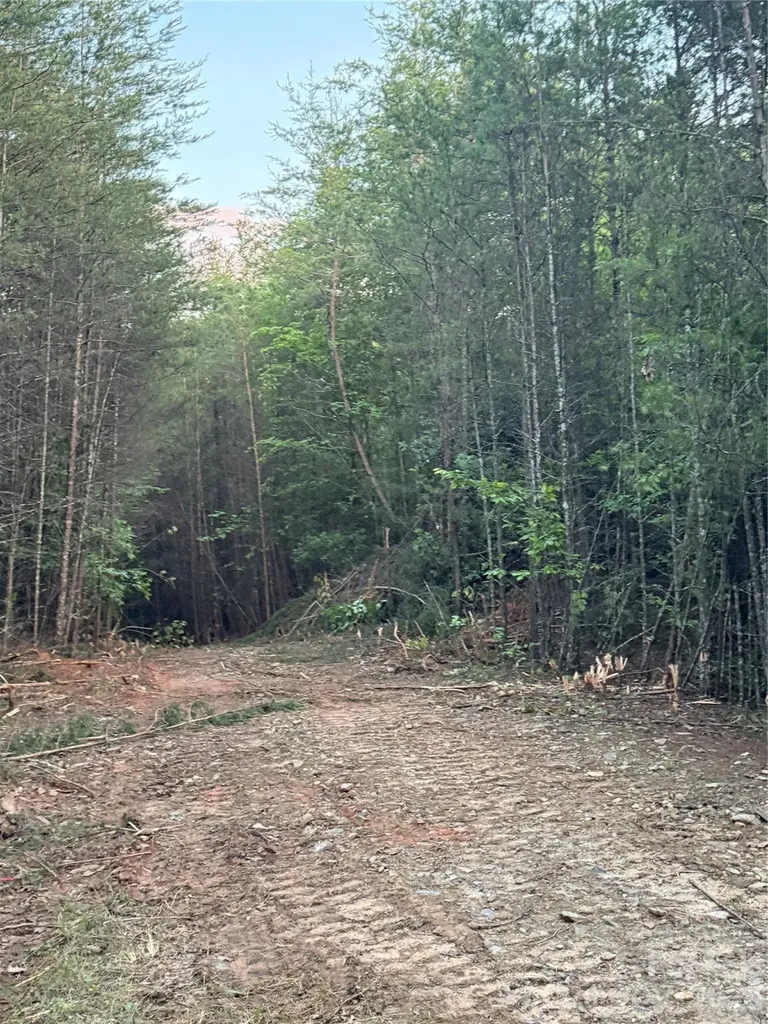 Tract 2 Hill Road Marion NC 28752