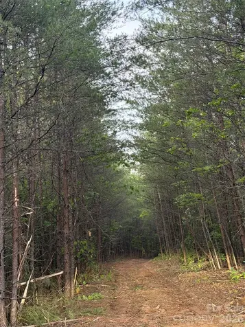 Tract 2 Hill Road Marion NC 28752