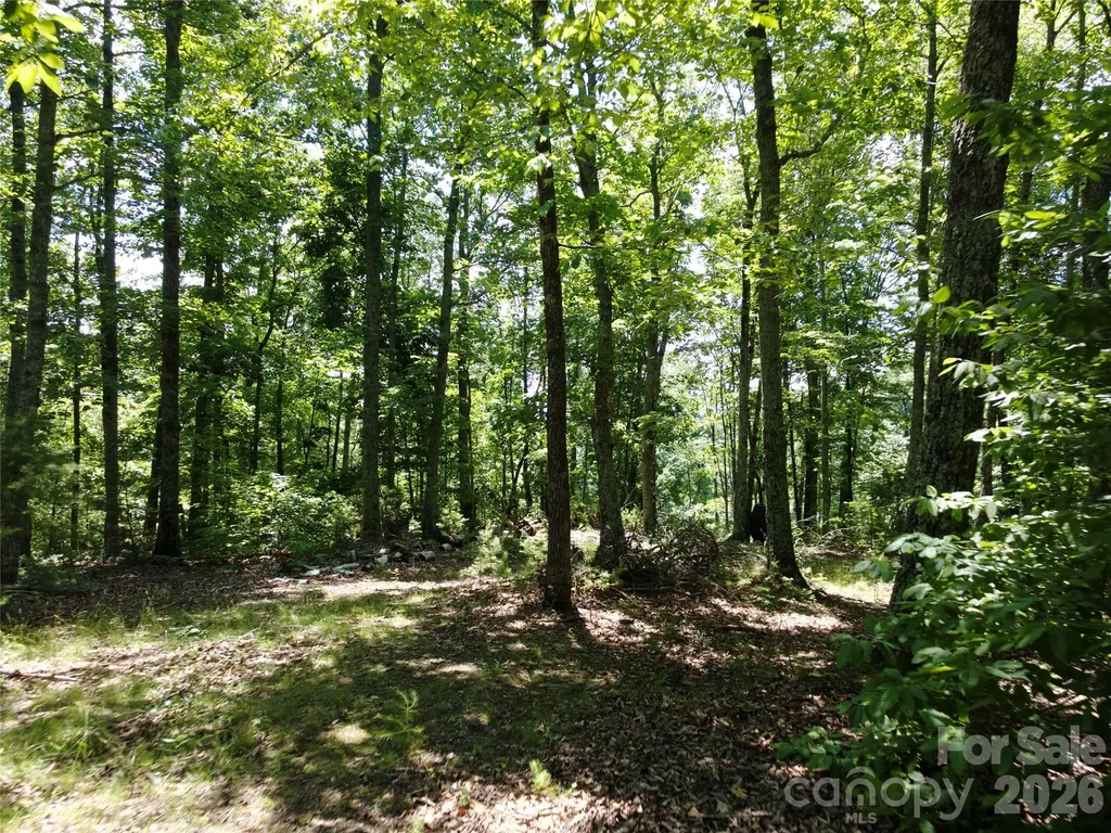 118 Upper Ridge Road Bostic NC 28018