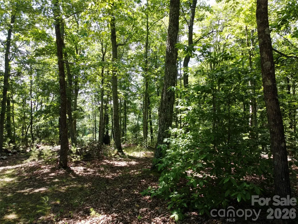 118 Upper Ridge Road Bostic NC 28018