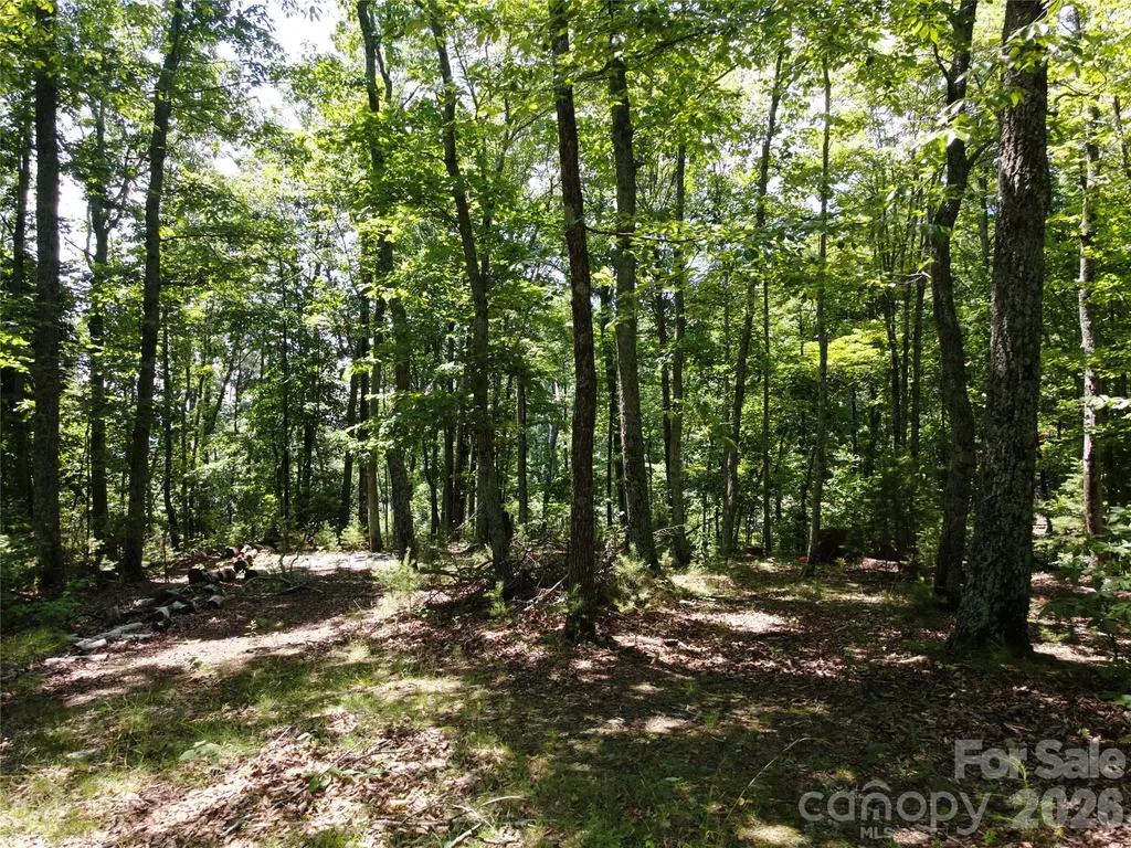 118 Upper Ridge Road Bostic NC 28018