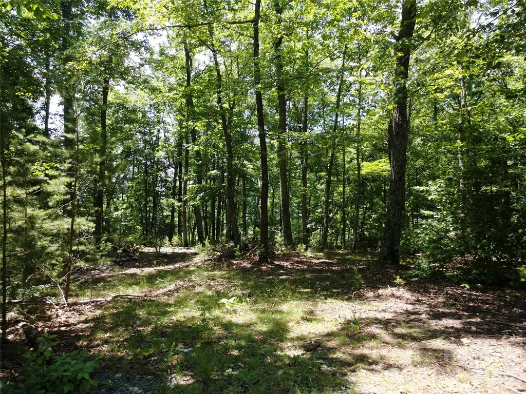 118 Upper Ridge Road Bostic NC 28018