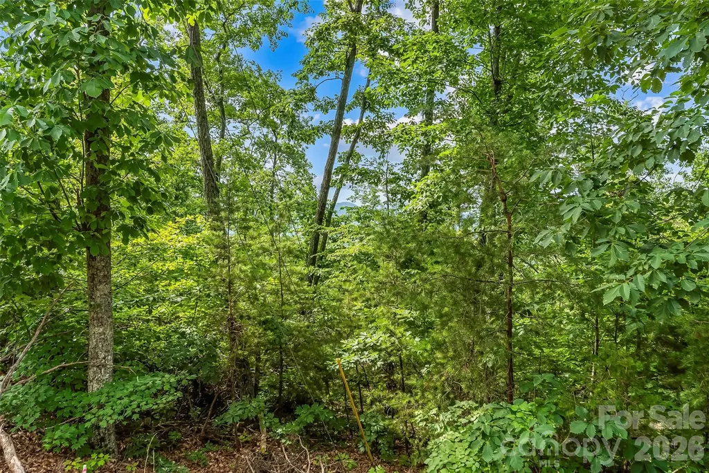 0 Brighton Drive Bostic NC 28018