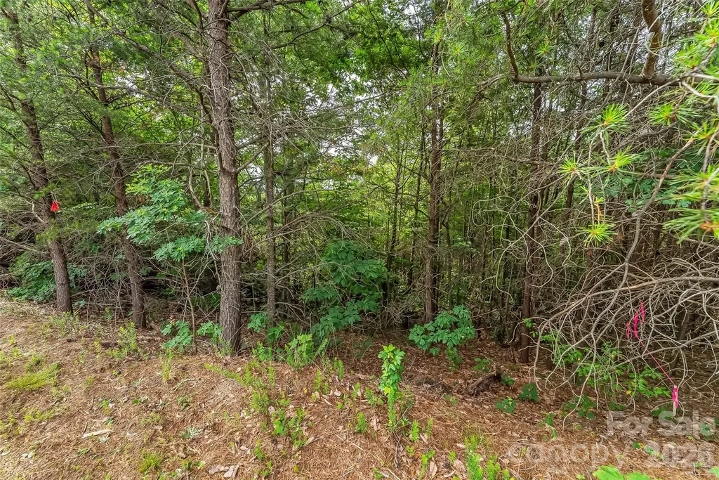 0 Brighton Drive Bostic NC 28018