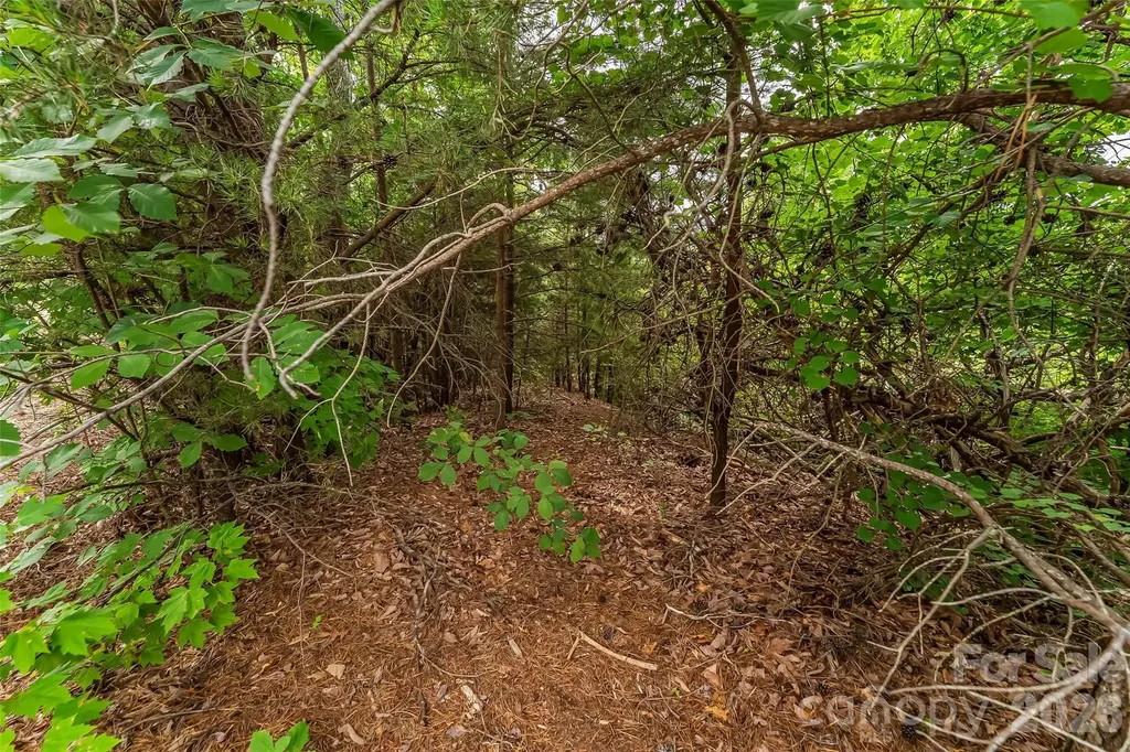 0 Brighton Drive Bostic NC 28018