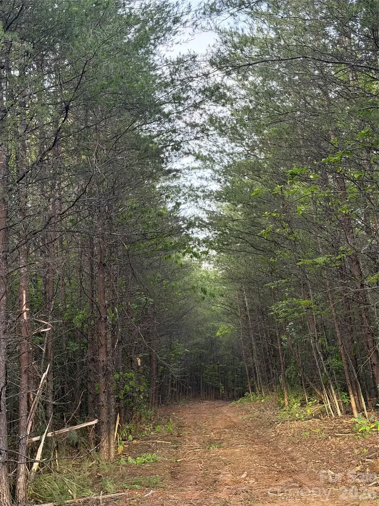 Tract 5 Hill Road Marion NC 28752
