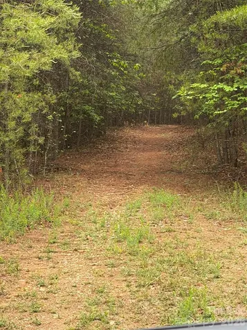 Tract 5 Hill Road Marion NC 28752