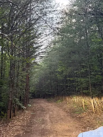 Tract 5 Hill Road Marion NC 28752