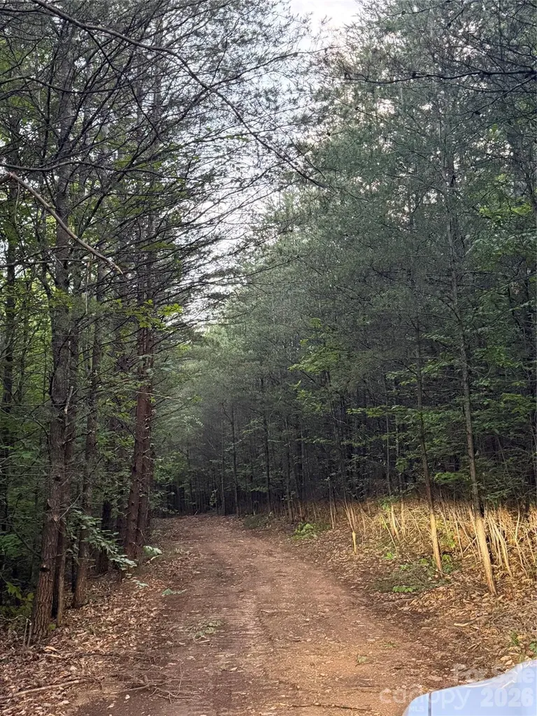 Tract 3 Hill Road Marion NC 28752