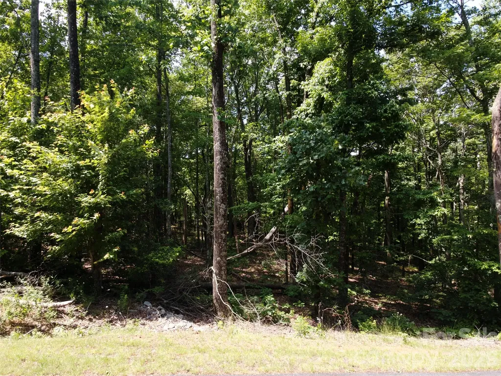 132 Valleyview Drive Bostic NC 28018
