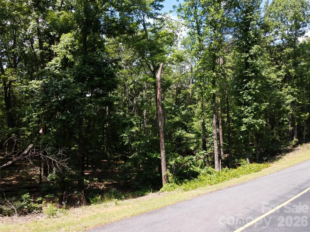 132 Valleyview Drive Bostic NC 28018