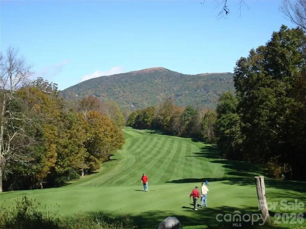 21 Overlook Drive Mars Hill NC 28754