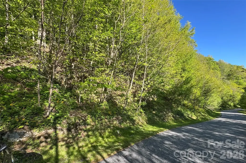 21 Overlook Drive Mars Hill NC 28754