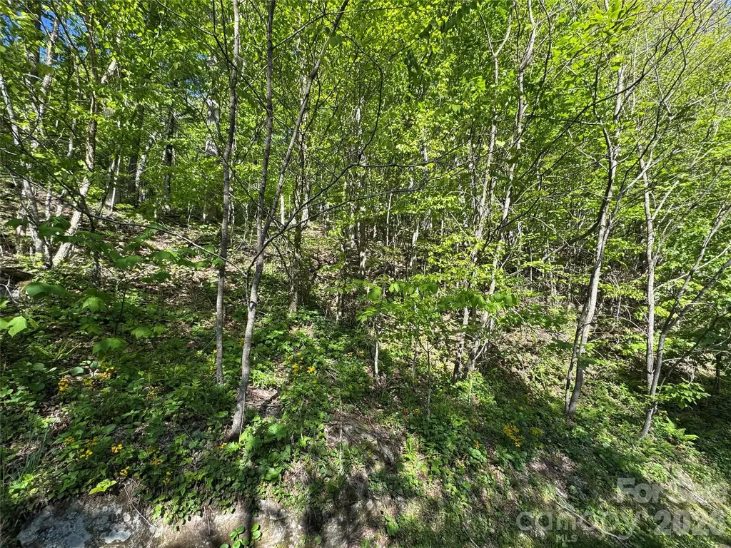 21 Overlook Drive Mars Hill NC 28754