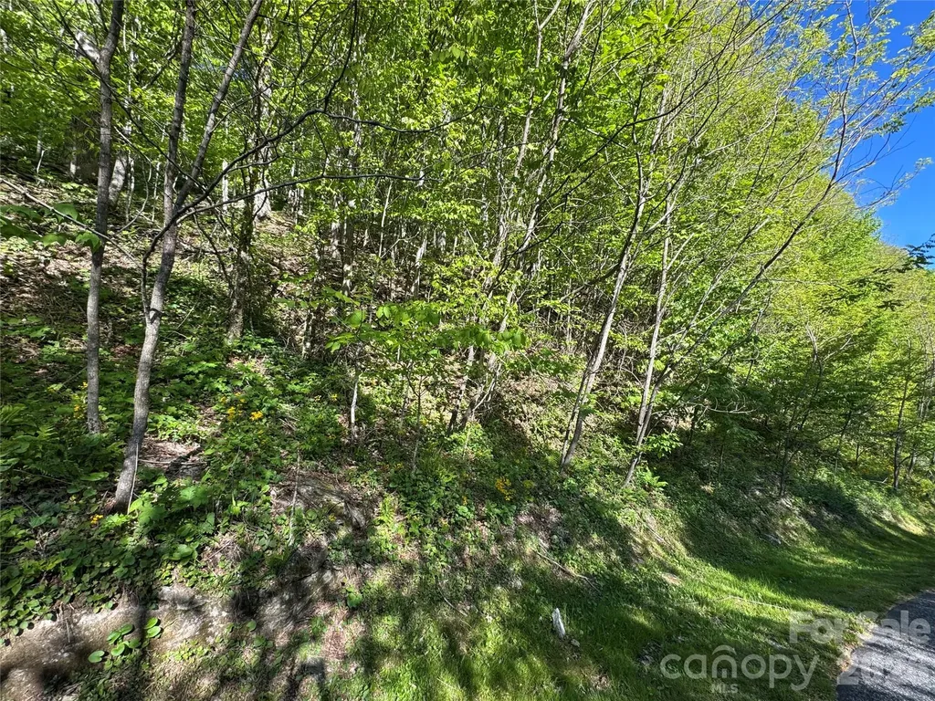21 Overlook Drive Mars Hill NC 28754