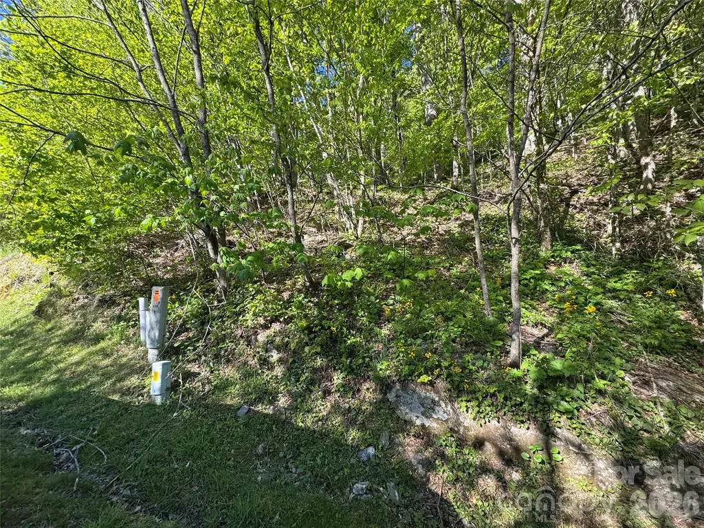 21 Overlook Drive Mars Hill NC 28754