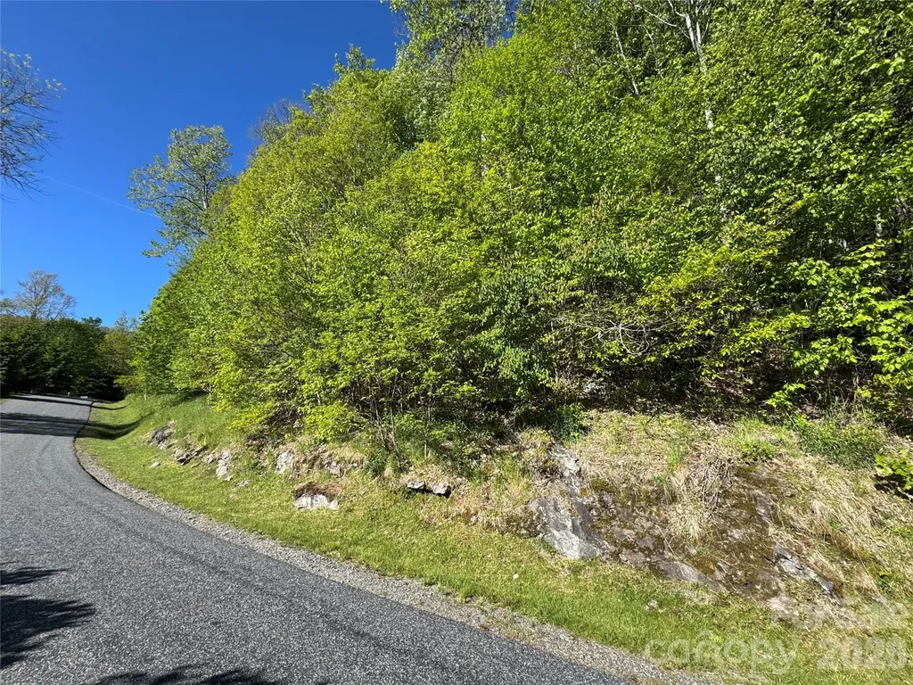 21 Overlook Drive Mars Hill NC 28754
