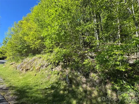 21 Overlook Drive Mars Hill NC 28754