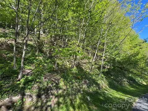 21 Overlook Drive Mars Hill NC 28754