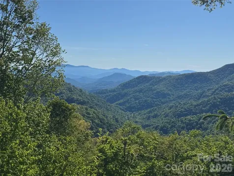 21 Overlook Drive Mars Hill NC 28754