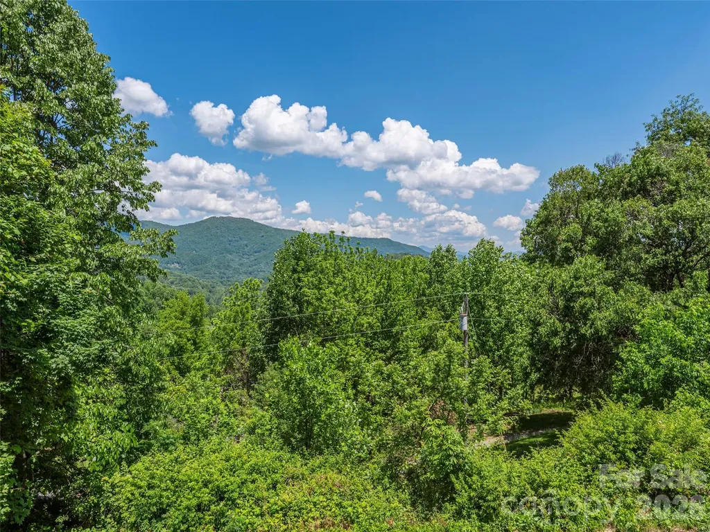 649 Acres View Drive Waynesville NC 28786
