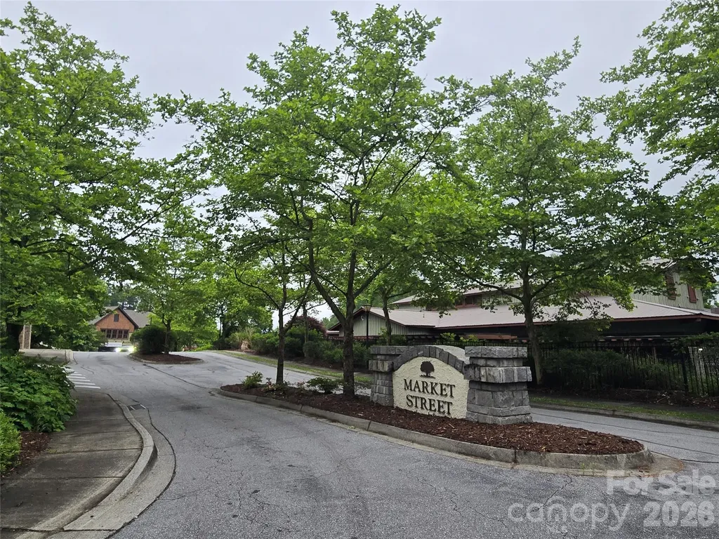 101 Hawks Crest Brevard NC 28712