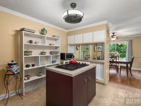 112 Lyndale Road Hendersonville NC 28739