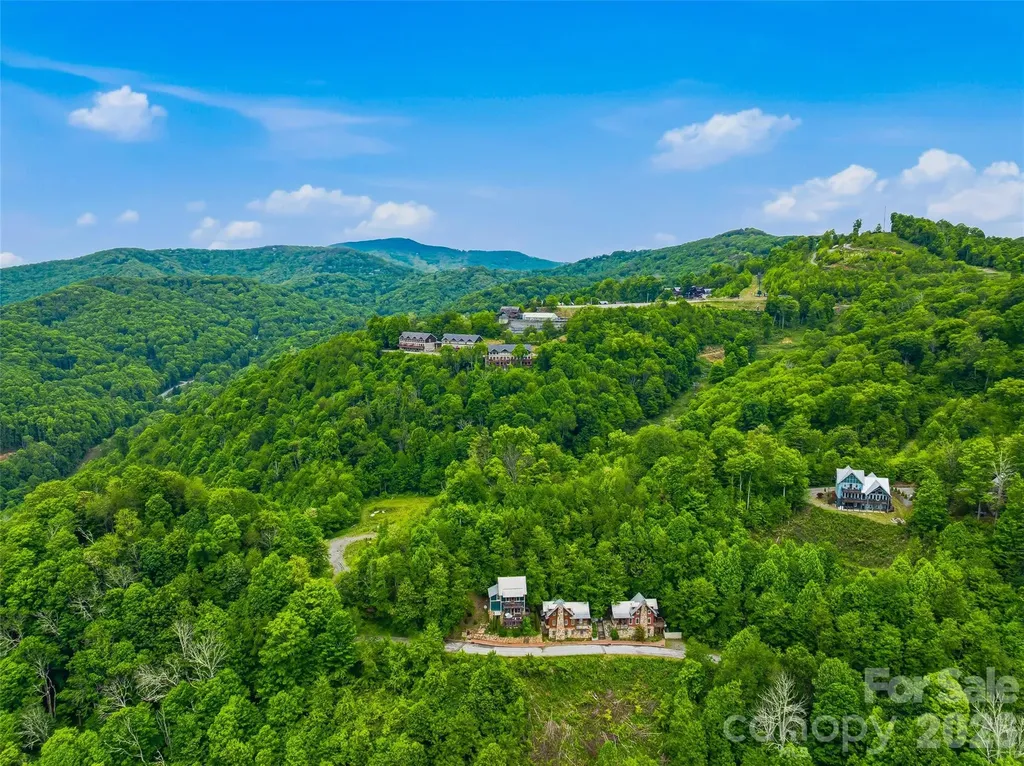 95 Breakaway Trail S Mars Hill NC 28754
