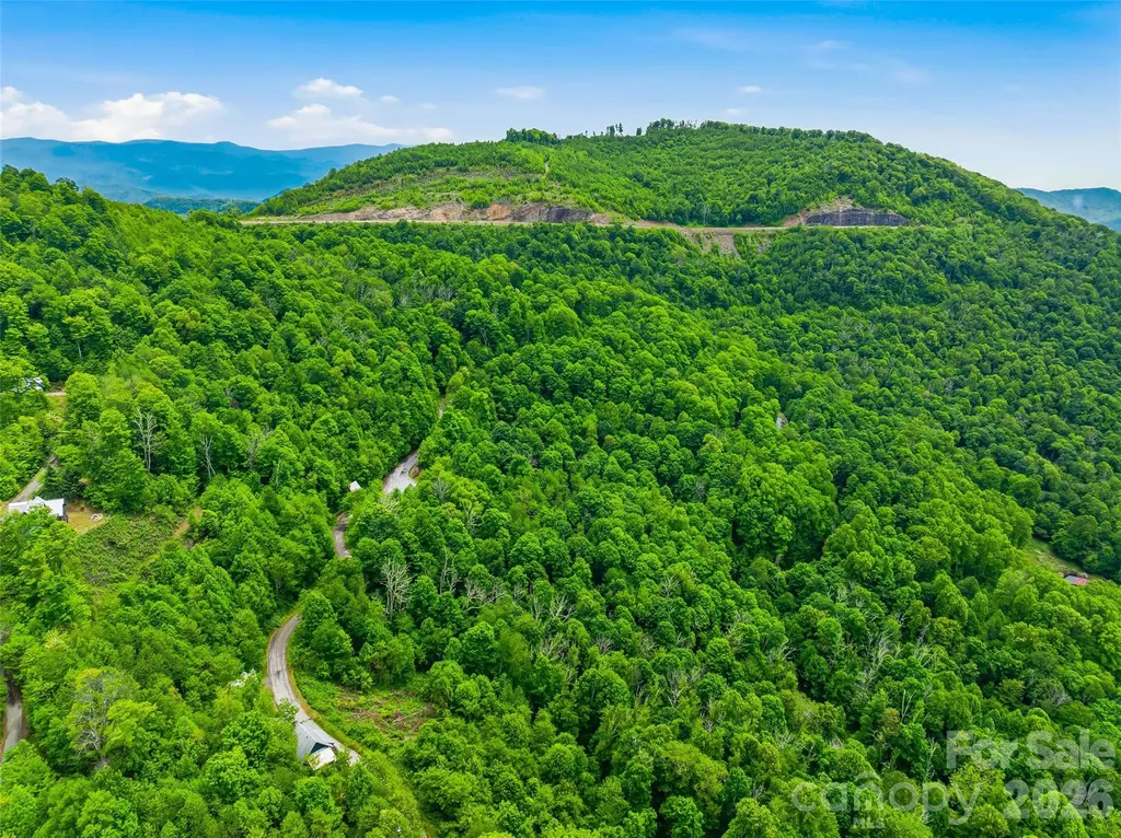 95 Breakaway Trail S Mars Hill NC 28754