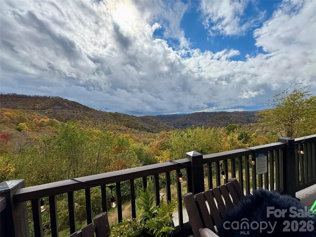 95 Breakaway Trail S Mars Hill NC 28754