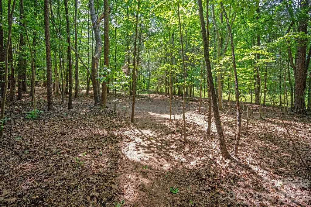 2504 Korbel Court Waxhaw NC 28173