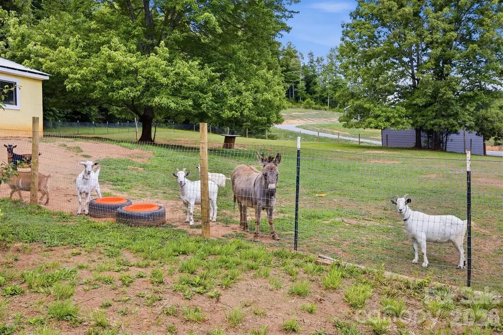 360 Johnson Caldwell Road Boomer NC 28606