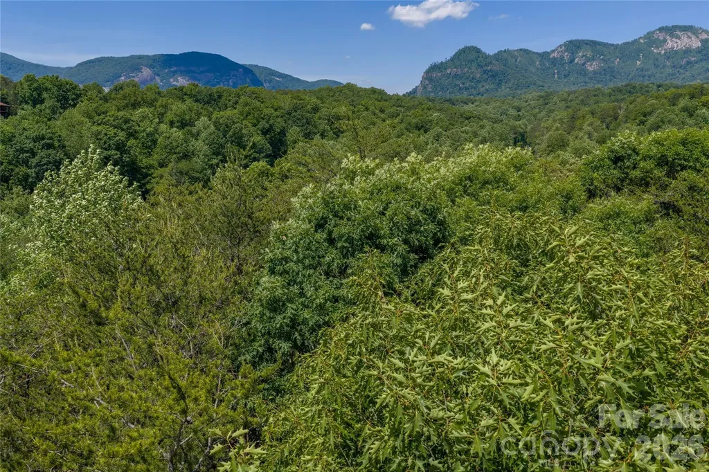 0000 View Trail Lake Lure NC 28746