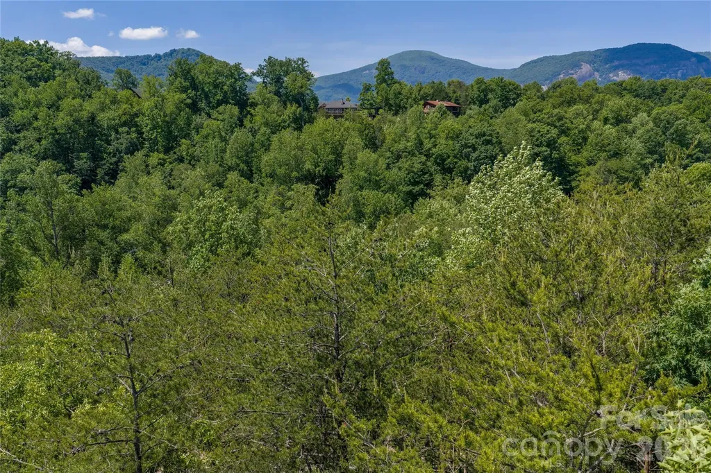 0000 View Trail Lake Lure NC 28746