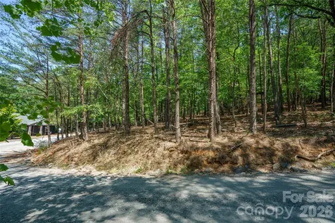 0000 View Trail Lake Lure NC 28746