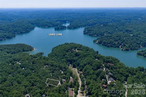 0000 View Trail Lake Lure NC 28746