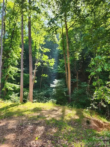 Tbd Boone Gap Lane Taylorsville NC 28681