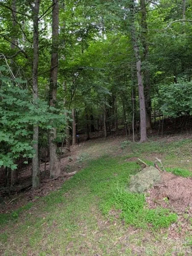 59 Ck Cabin Drive Hot Springs NC 28743