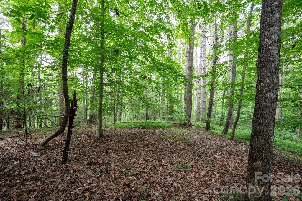 99999 Paramount Drive Leicester NC 28748