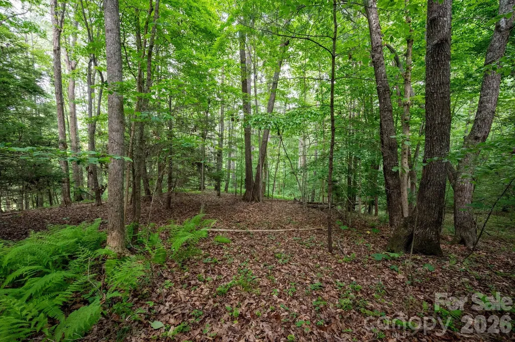 99999 Paramount Drive Leicester NC 28748