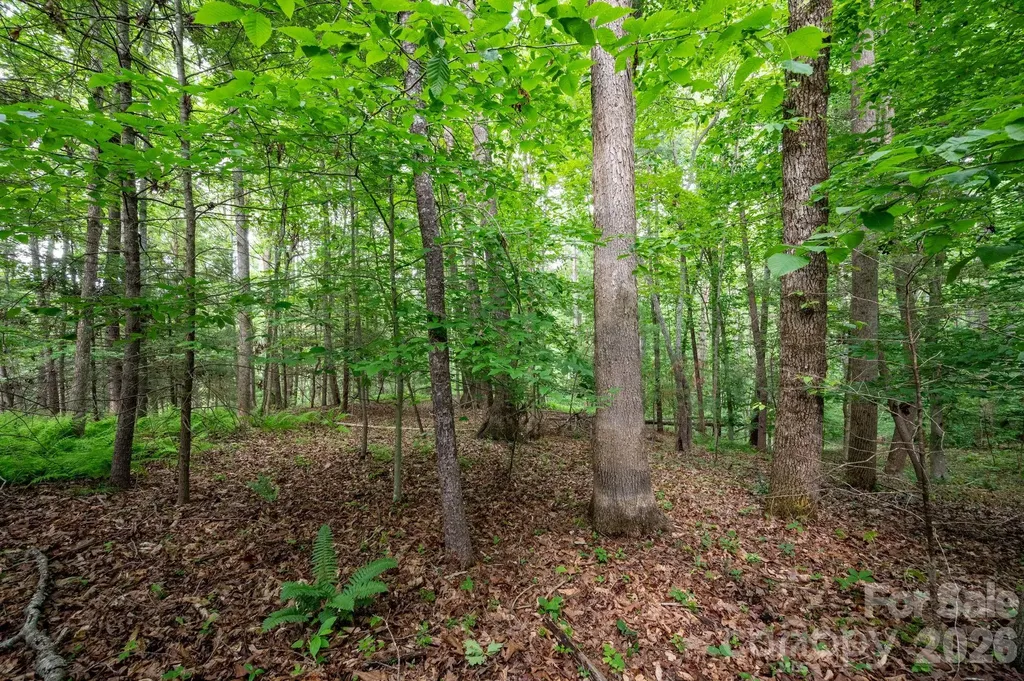 99999 Paramount Drive Leicester NC 28748